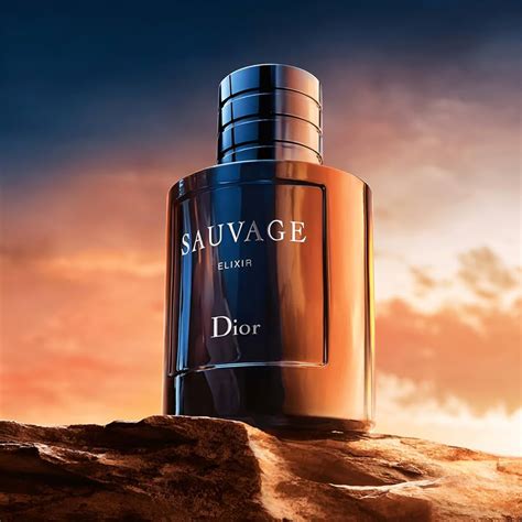 dior majice|dior sauvage online shop.